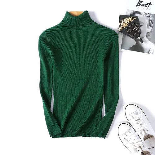 2024 Autumn Winter Women Long Sleeve Knitted Foldover Turtleneck