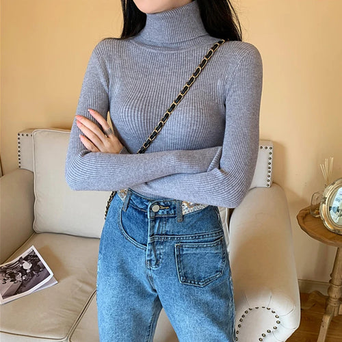 2024 Autumn Winter Women Long Sleeve Knitted Foldover Turtleneck