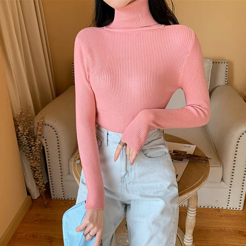2024 Autumn Winter Women Long Sleeve Knitted Foldover Turtleneck