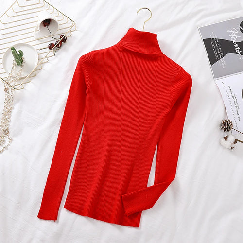 2024 Autumn Winter Women Long Sleeve Knitted Foldover Turtleneck