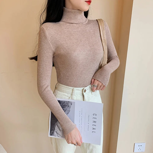 2024 Autumn Winter Women Long Sleeve Knitted Foldover Turtleneck