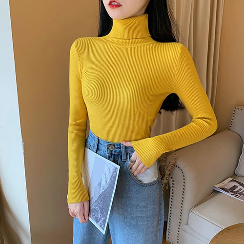 2024 Autumn Winter Women Long Sleeve Knitted Foldover Turtleneck