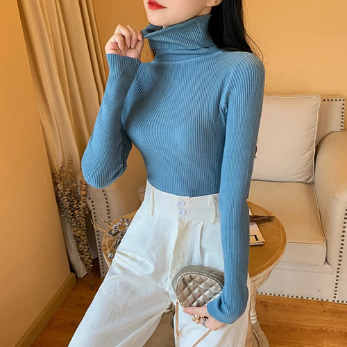 2024 Autumn Winter Women Long Sleeve Knitted Foldover Turtleneck